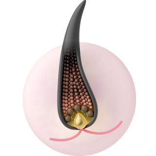 Aiuta a contrastare la caduta dei capelli